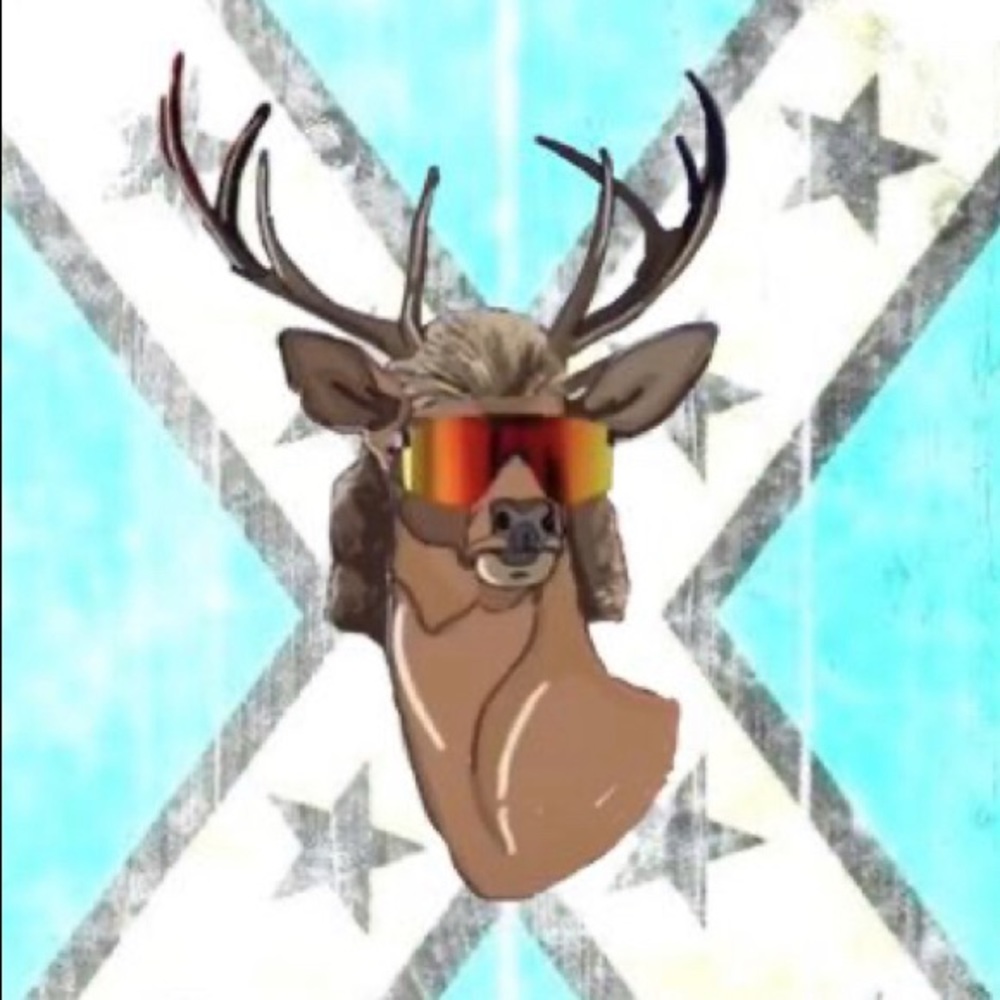 Meet your Posher, Holly